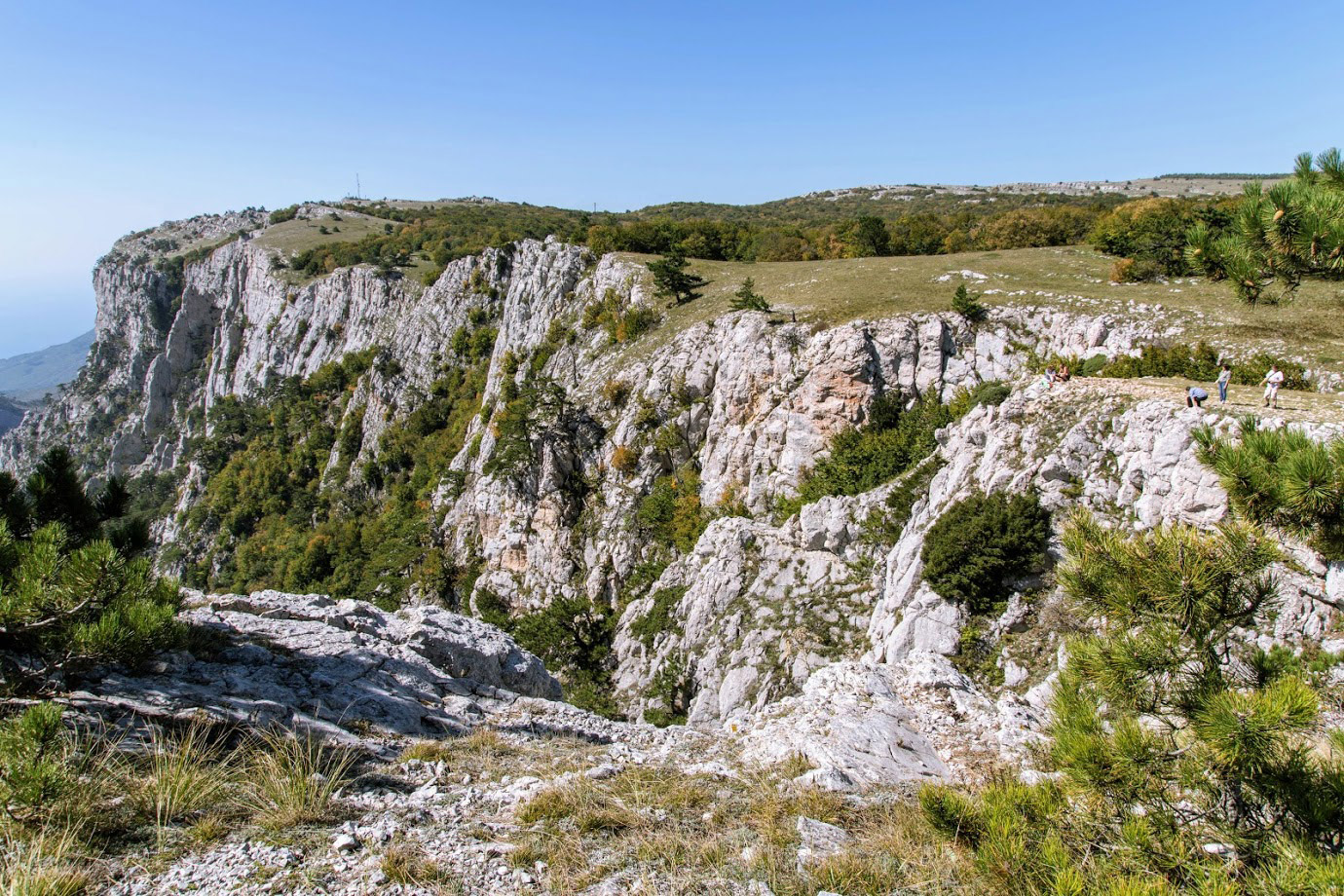 Ай-Петринская яйла, image of landscape/habitat.