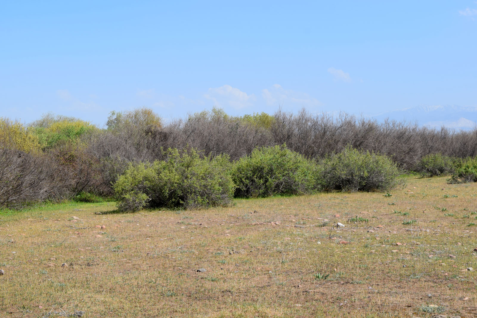 Окрестности кишлака Айбулак, изображение ландшафта.