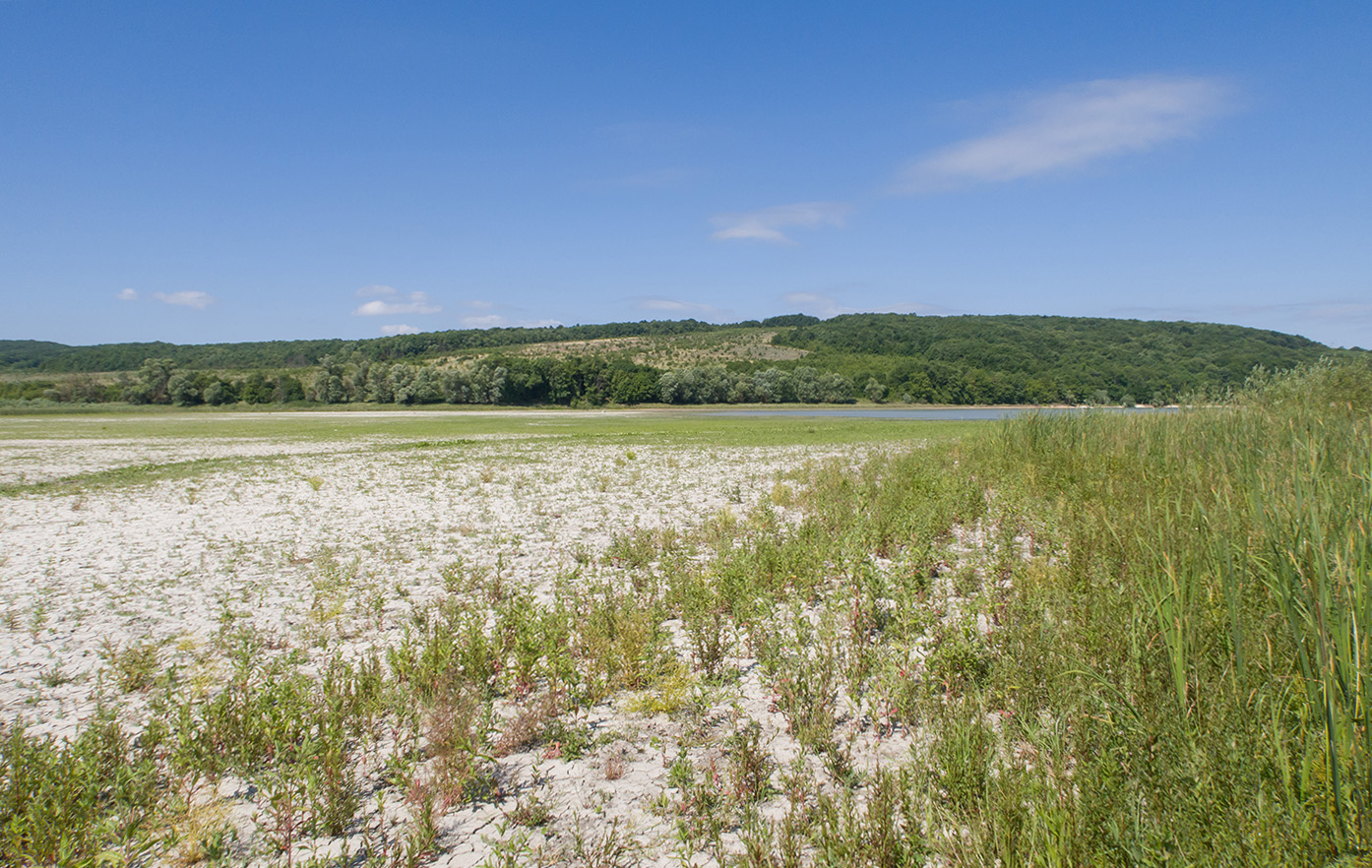 Красный Псебепс, image of landscape/habitat.