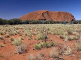 Uluru - Kata Tjuta, image of landscape/habitat.