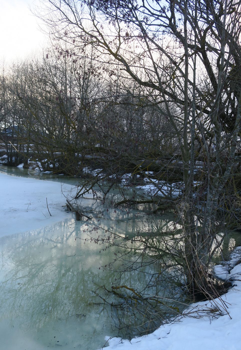 Ерденево, image of landscape/habitat.
