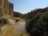 Image of landscape