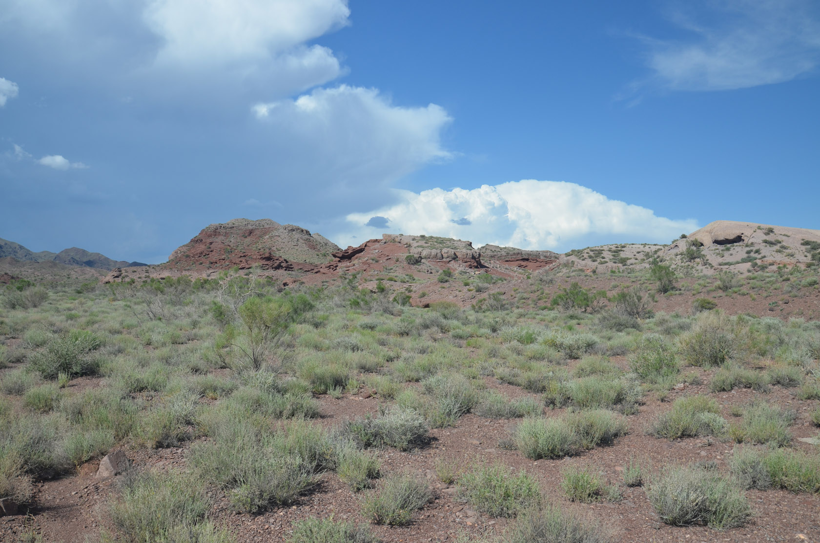 Алтын-Эмель, image of landscape/habitat.