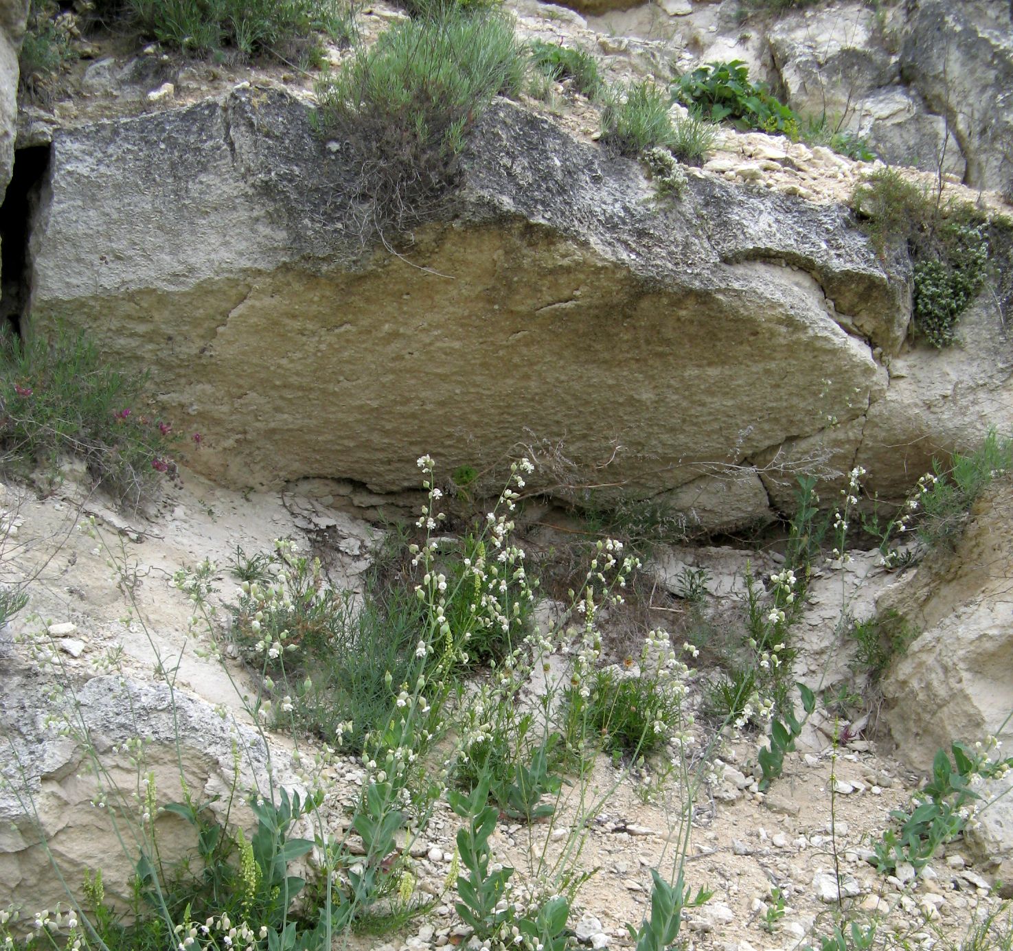 Машкэуць, image of landscape/habitat.