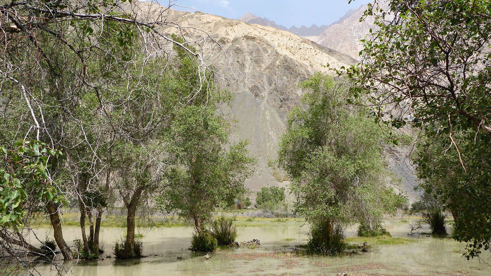 Ирхтский залив, image of landscape/habitat.