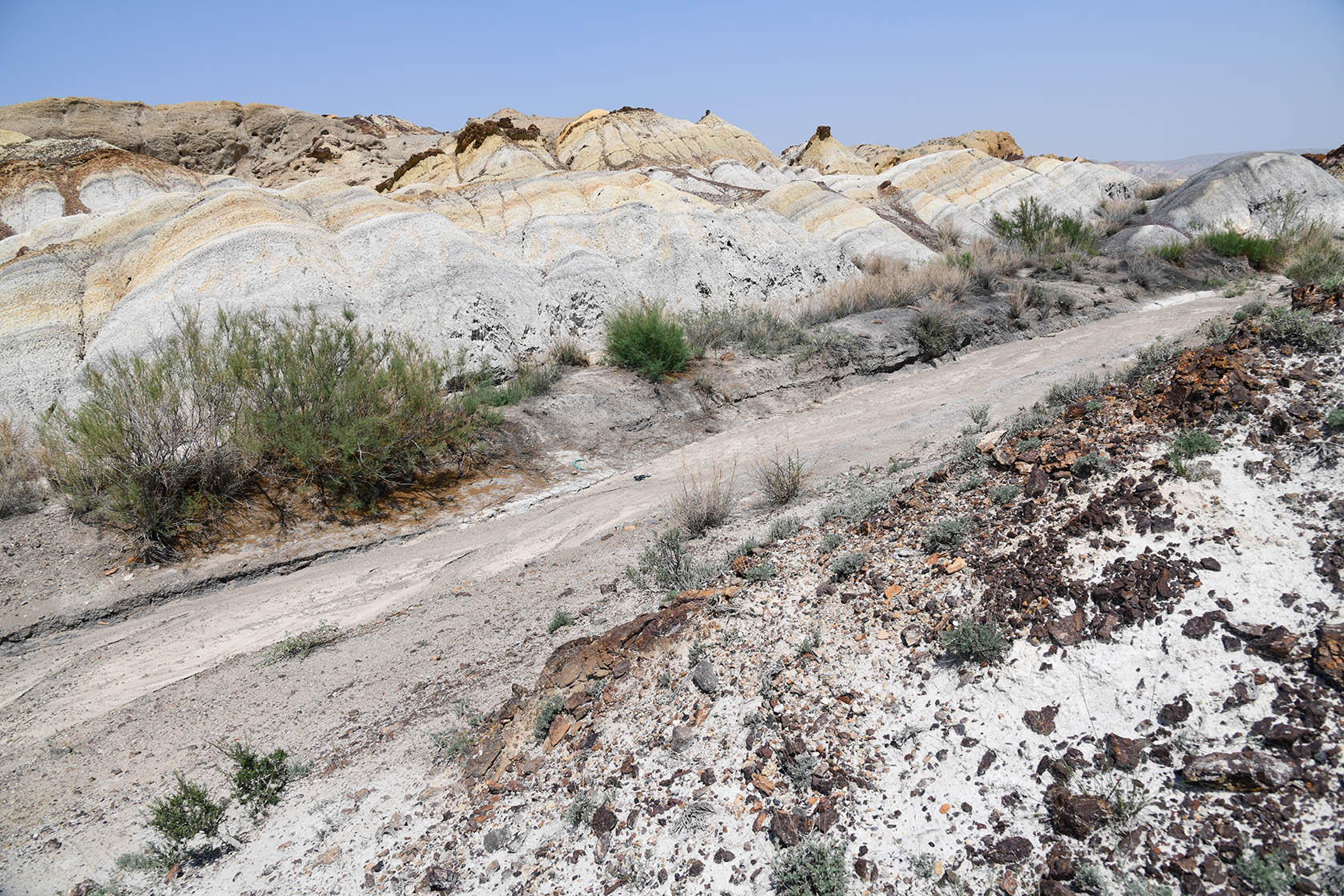 Мадыген, image of landscape/habitat.