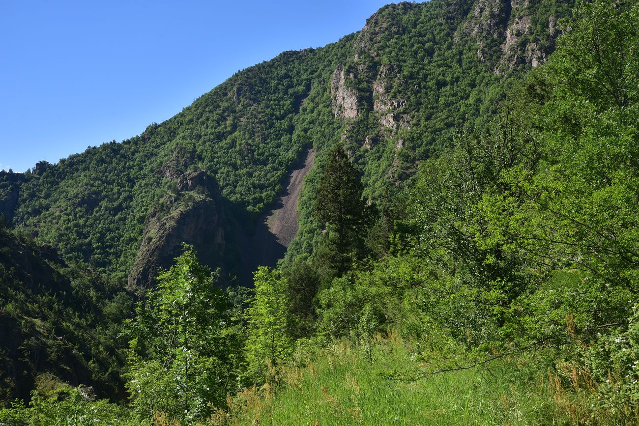 Окрестности храма Отхта, image of landscape/habitat.