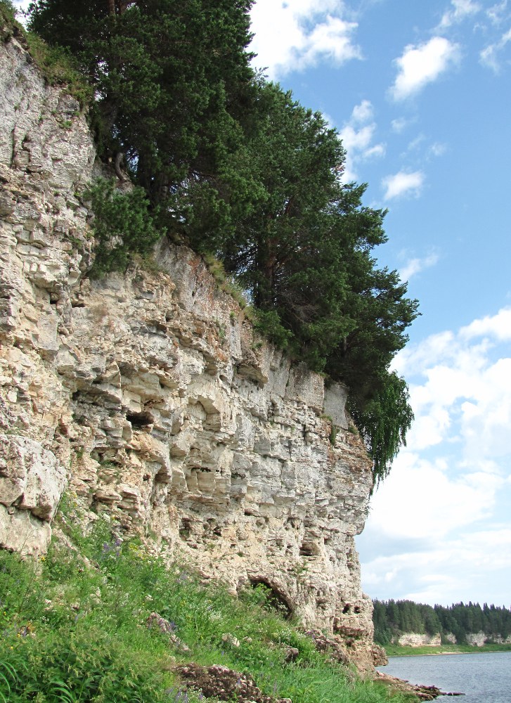 Усть-Пинега, image of landscape/habitat.