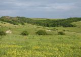 Ерёмкин лог, image of landscape/habitat.