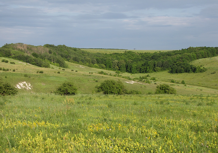 Ерёмкин лог, image of landscape/habitat.