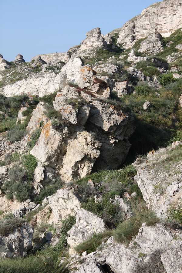 Джангуль, image of landscape/habitat.