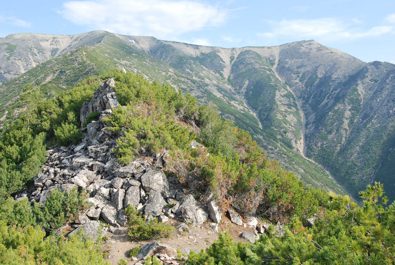 Плато полуострова Святой Нос, image of landscape/habitat.