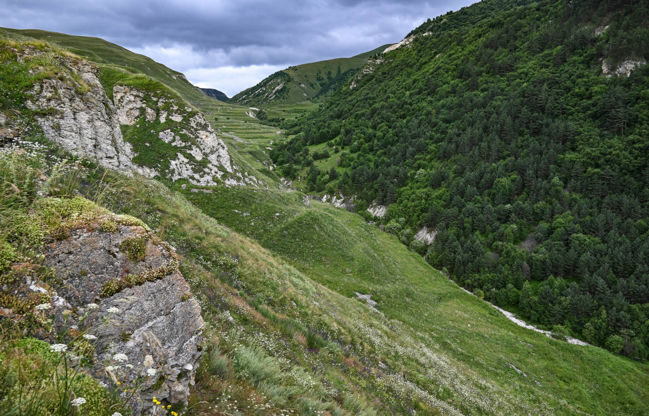 Хой, image of landscape/habitat.