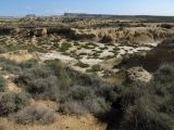 Image of landscape