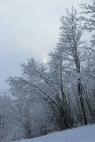 Дудергофские высоты, image of landscape/habitat.