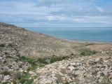 Image of landscape
