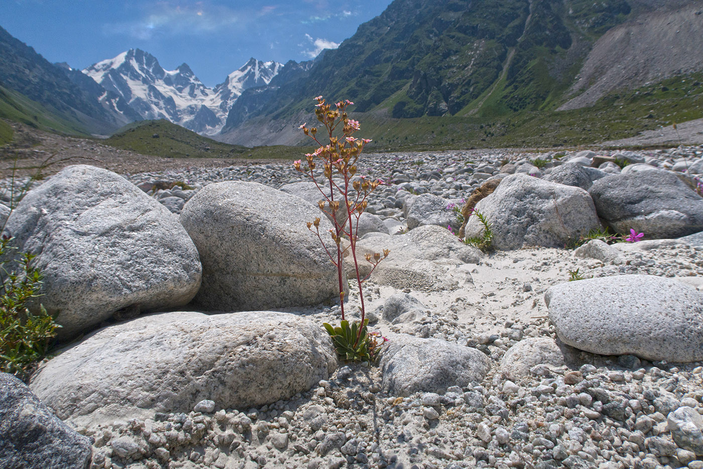 Ледник Псыгансу, image of landscape/habitat.