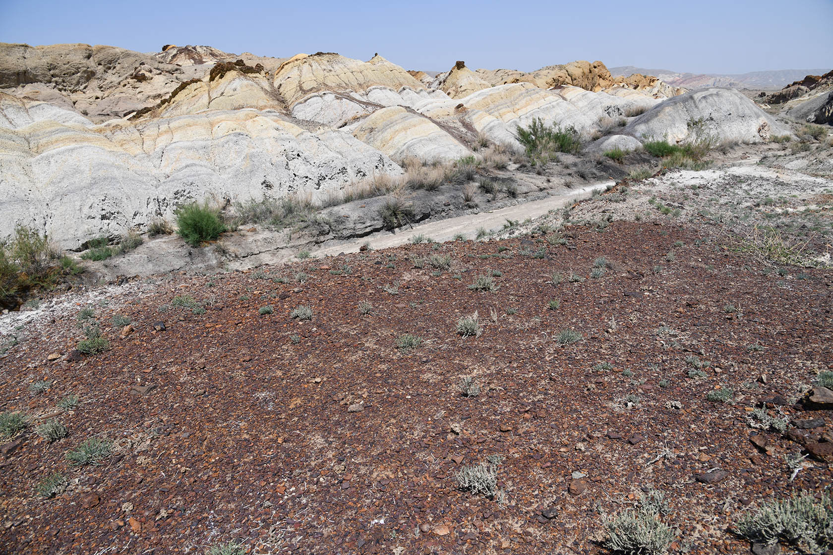 Мадыген, image of landscape/habitat.