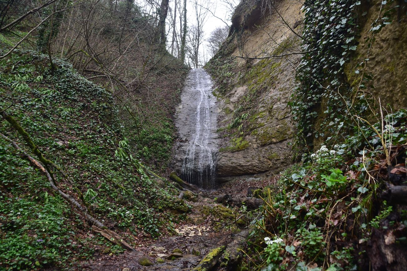 Ущелье Холодного ручья, изображение ландшафта.