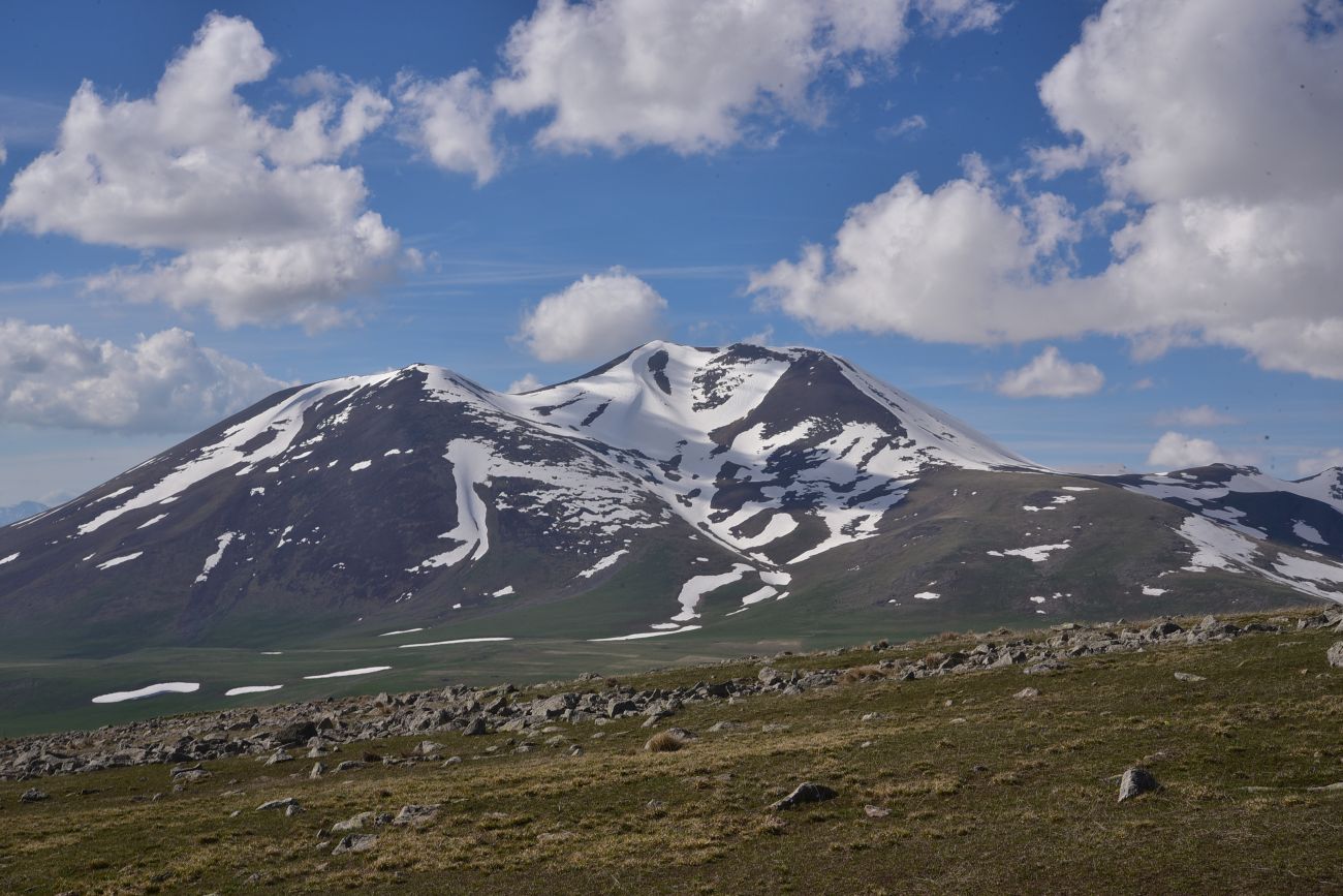 Гора Диди Абули, image of landscape/habitat.
