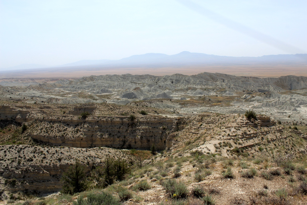 Торгой, image of landscape/habitat.