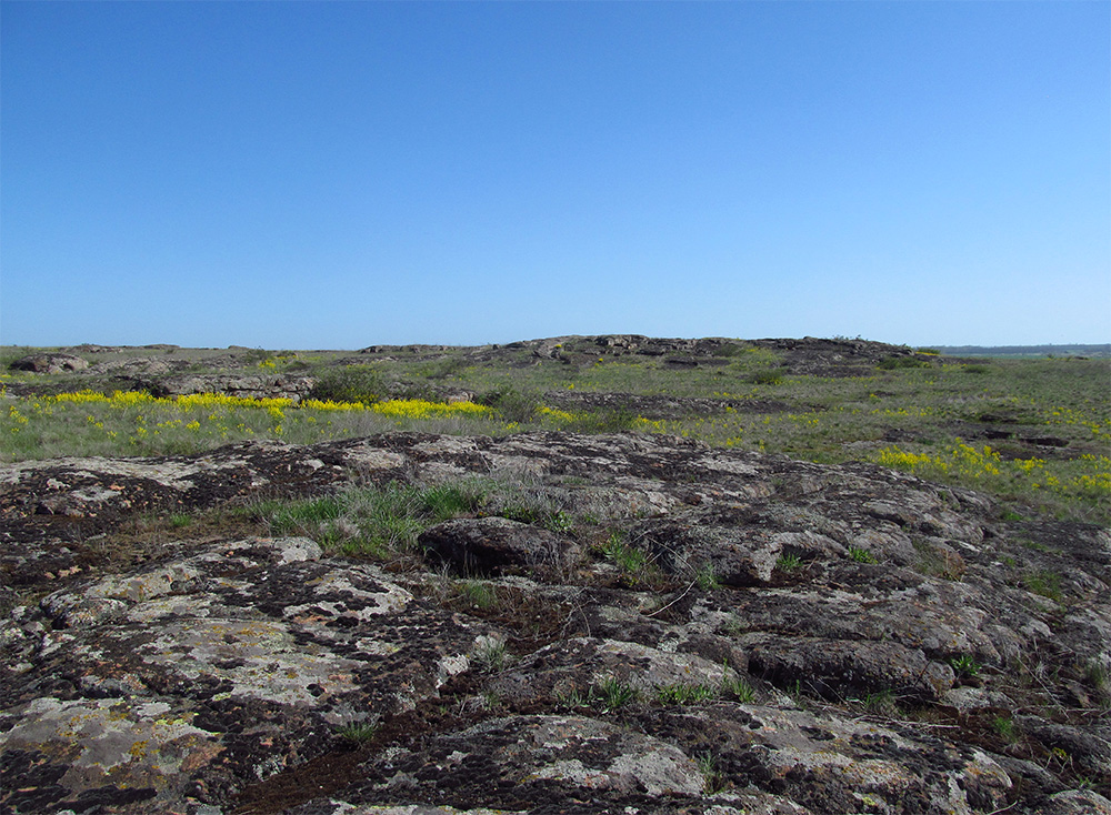 Заповедник "Каменные Могилы", image of landscape/habitat.