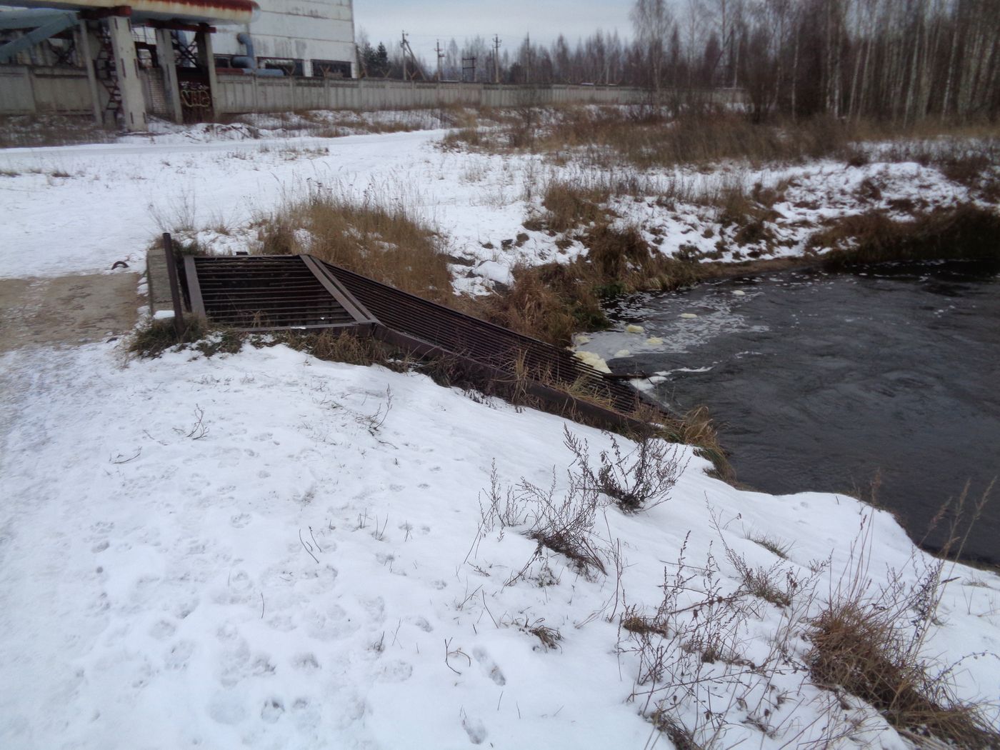 Соминка, image of landscape/habitat.