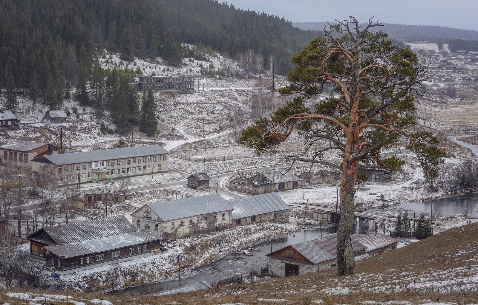 Кын и его окрестности, image of landscape/habitat.