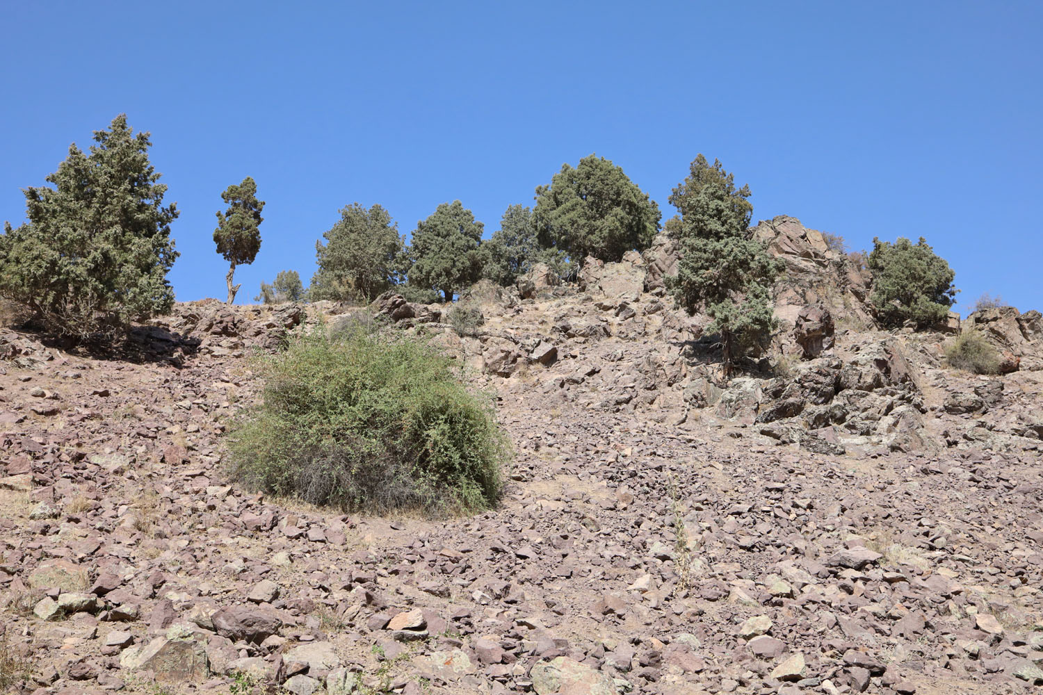 Лашкерек, image of landscape/habitat.