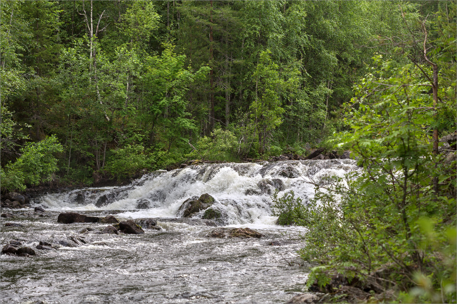 Озеро Лопское, image of landscape/habitat.