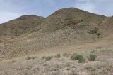 Image of landscape
