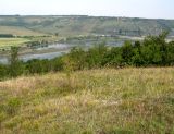 Image of landscape
