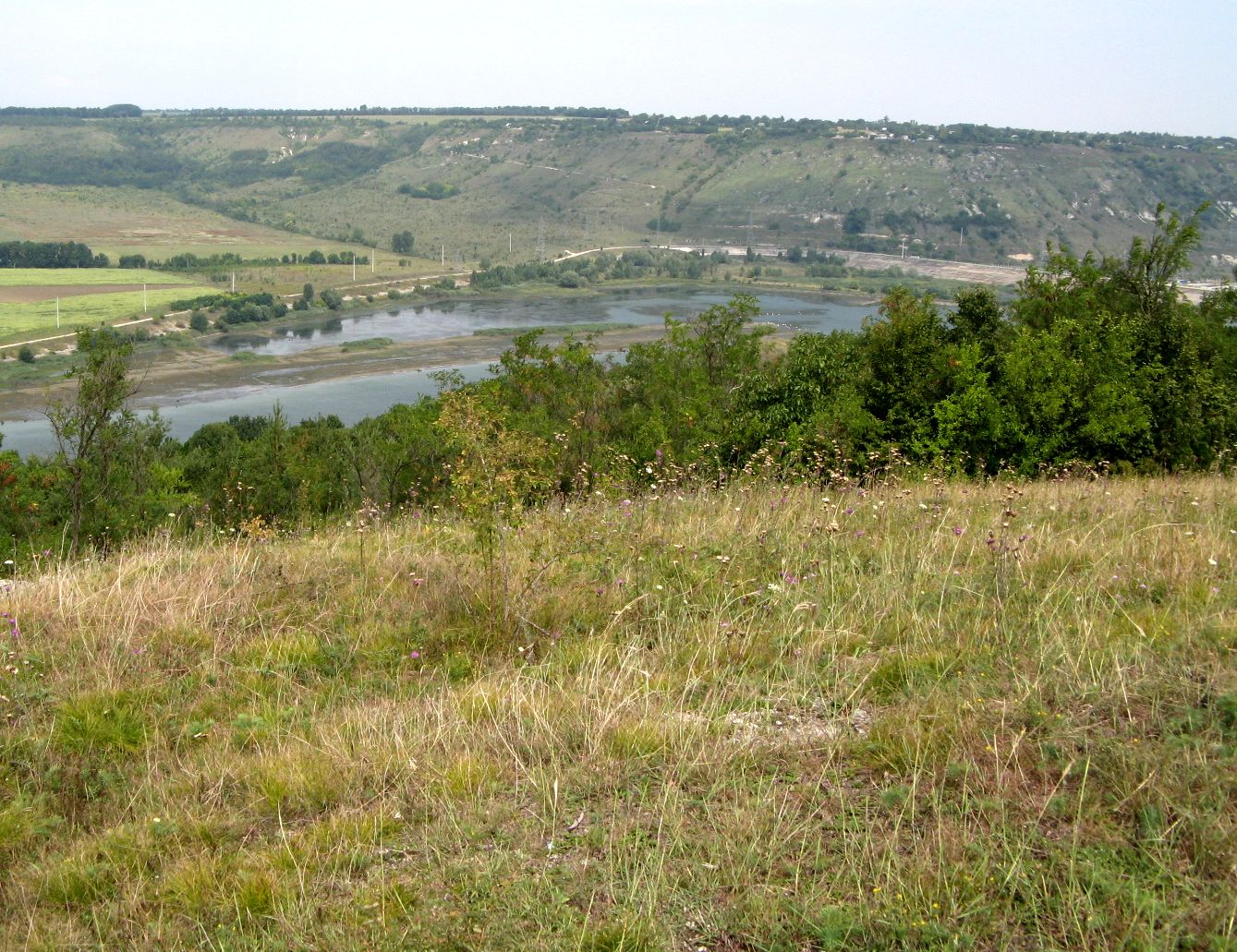 Наславча, image of landscape/habitat.