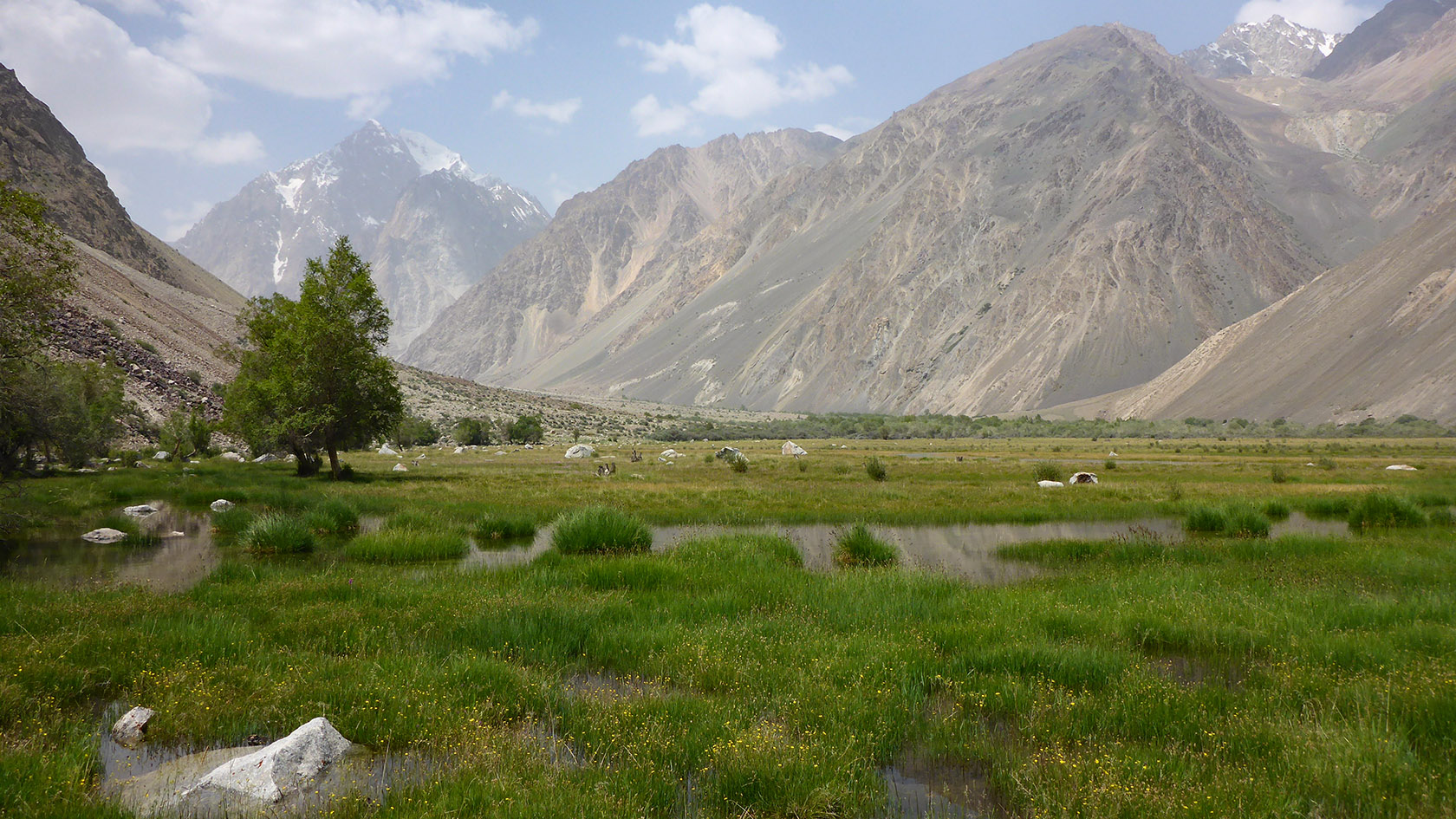 Ирхтский залив, image of landscape/habitat.