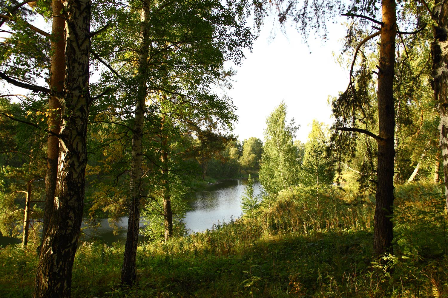 Шабры, image of landscape/habitat.