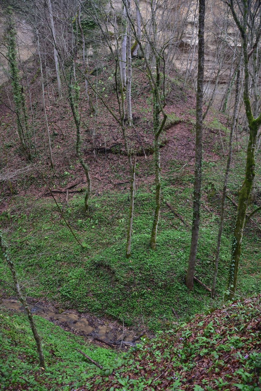 Ущелье Холодного ручья, изображение ландшафта.