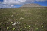 Image of landscape