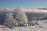 Большой Шатак, image of landscape/habitat.