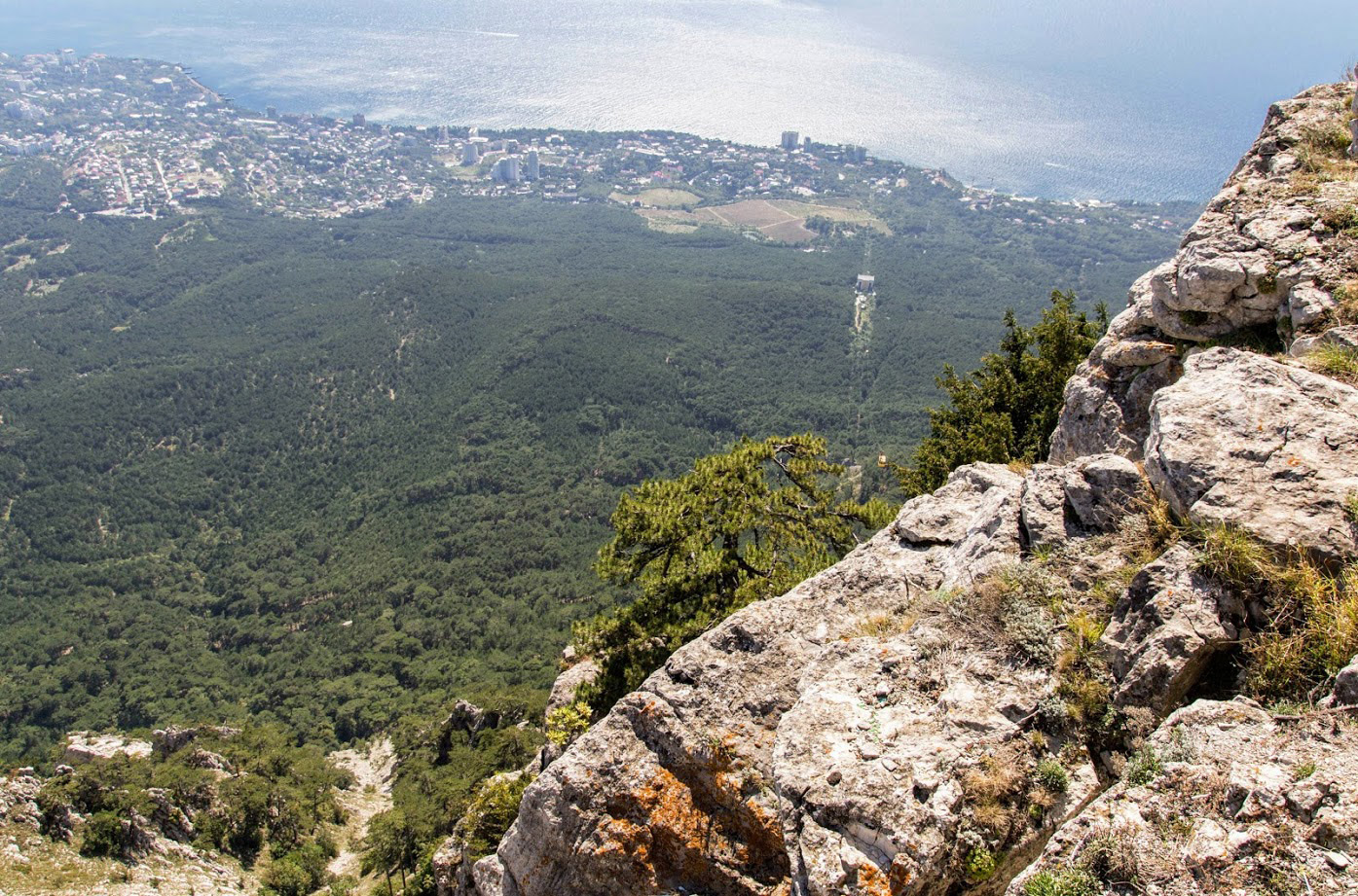 Ай-Петринская яйла, image of landscape/habitat.