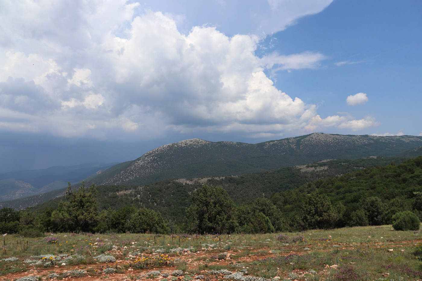 Ай-Петринская яйла, image of landscape/habitat.