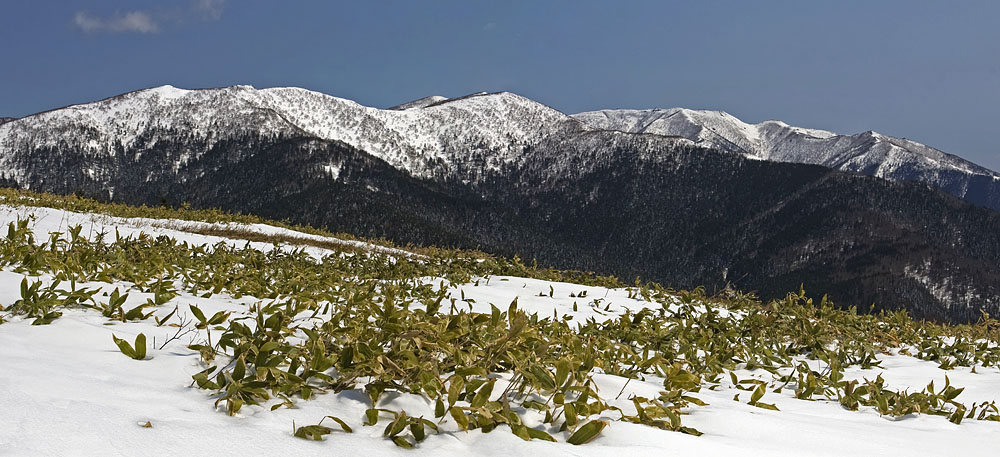Сусунайский хребет, image of landscape/habitat.
