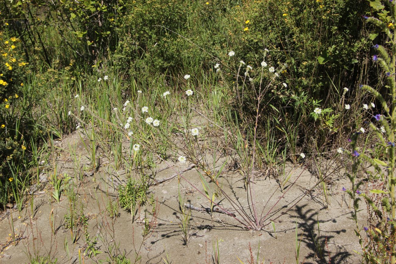 Окрестности ручья Тургунда, image of landscape/habitat.