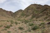 Image of landscape