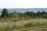 Image of landscape