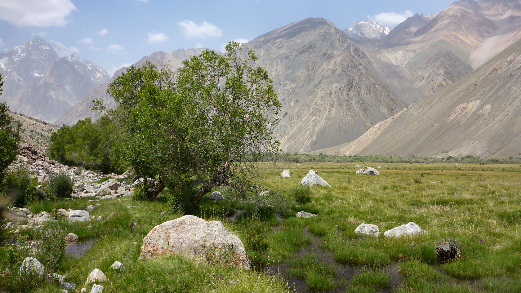 Ирхтский залив, image of landscape/habitat.