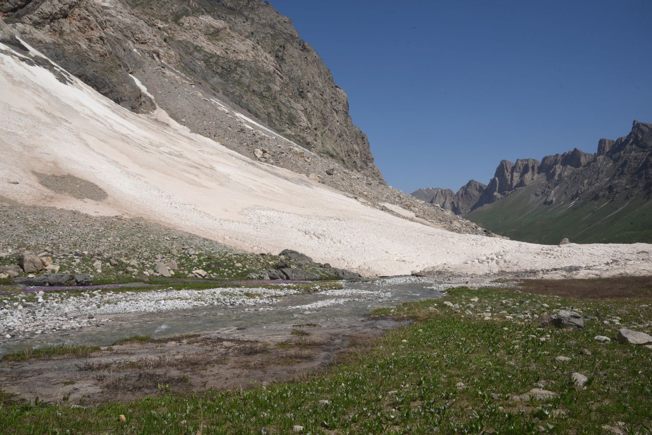 2 км от базового лагеря, image of landscape/habitat.