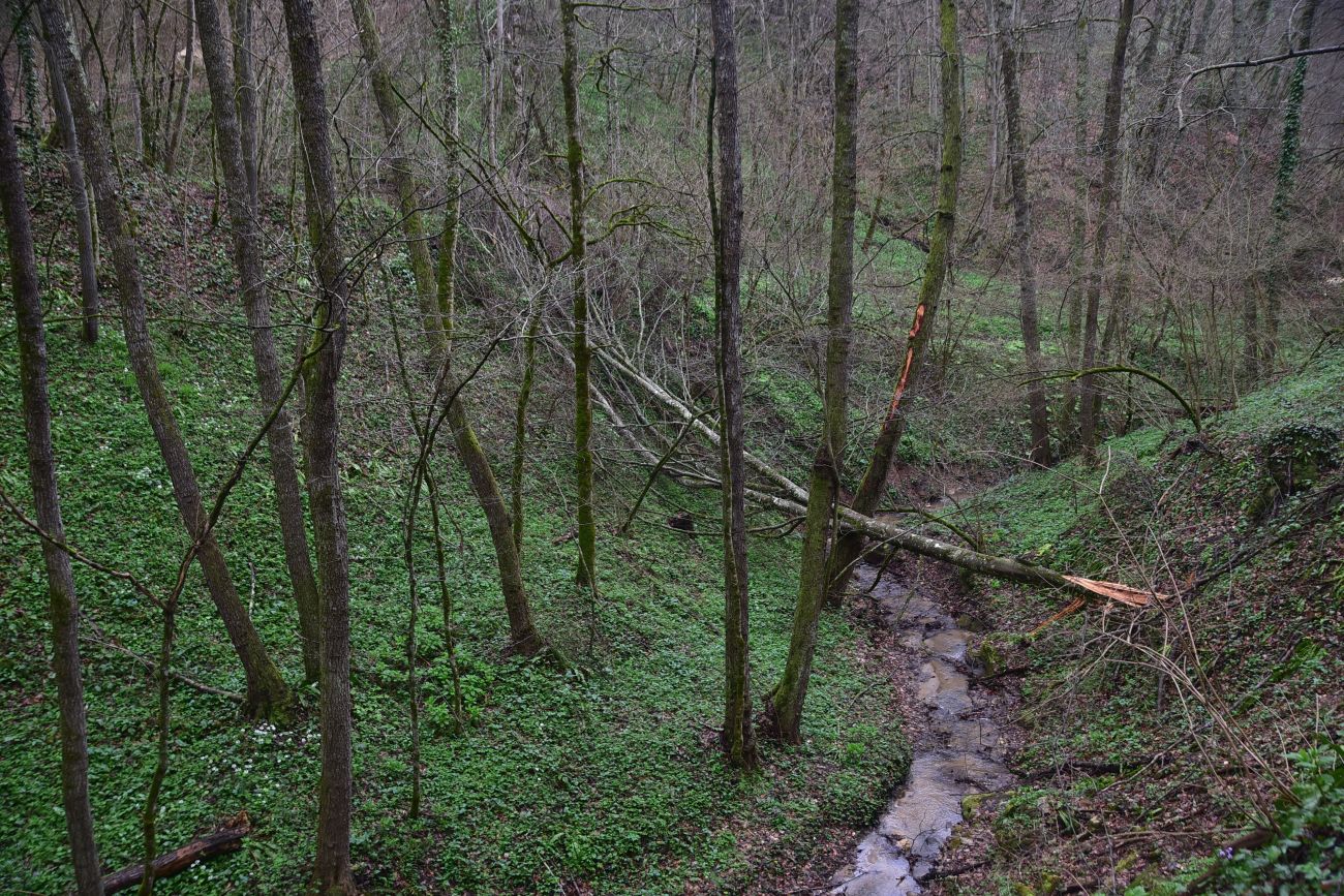 Ущелье Холодного ручья, изображение ландшафта.