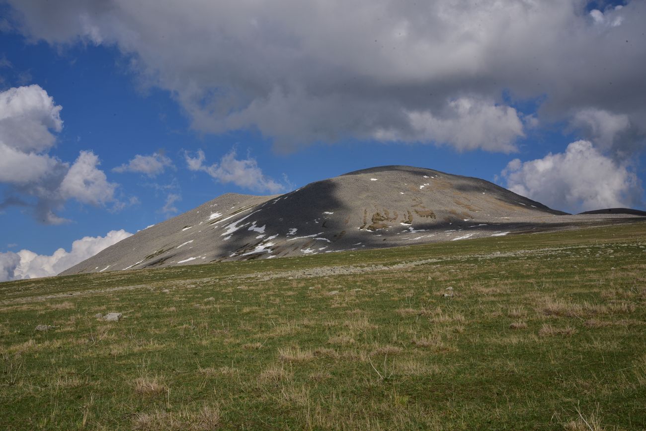 Гора Патара Абули, image of landscape/habitat.