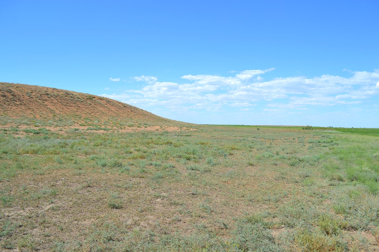 Ямное, image of landscape/habitat.