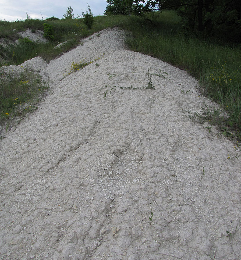 Ерёмкин лог, image of landscape/habitat.